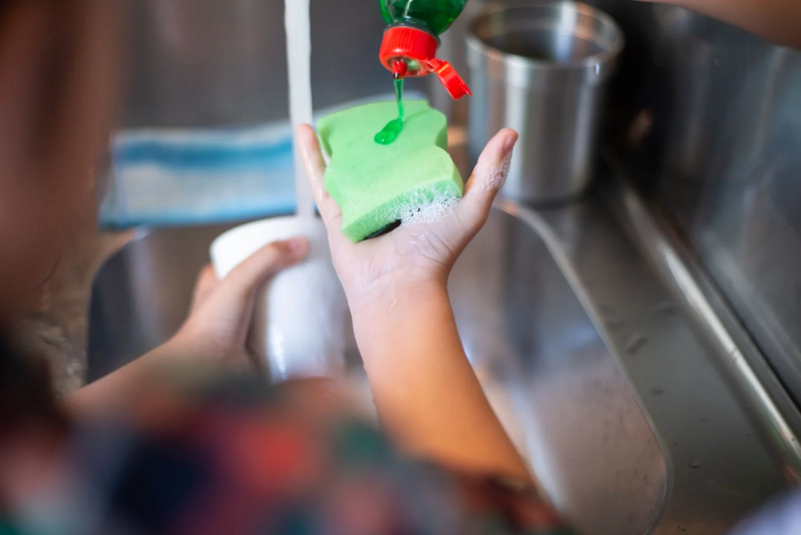 Kitchen in Danger: Deadly Germs in Dish Sponges!