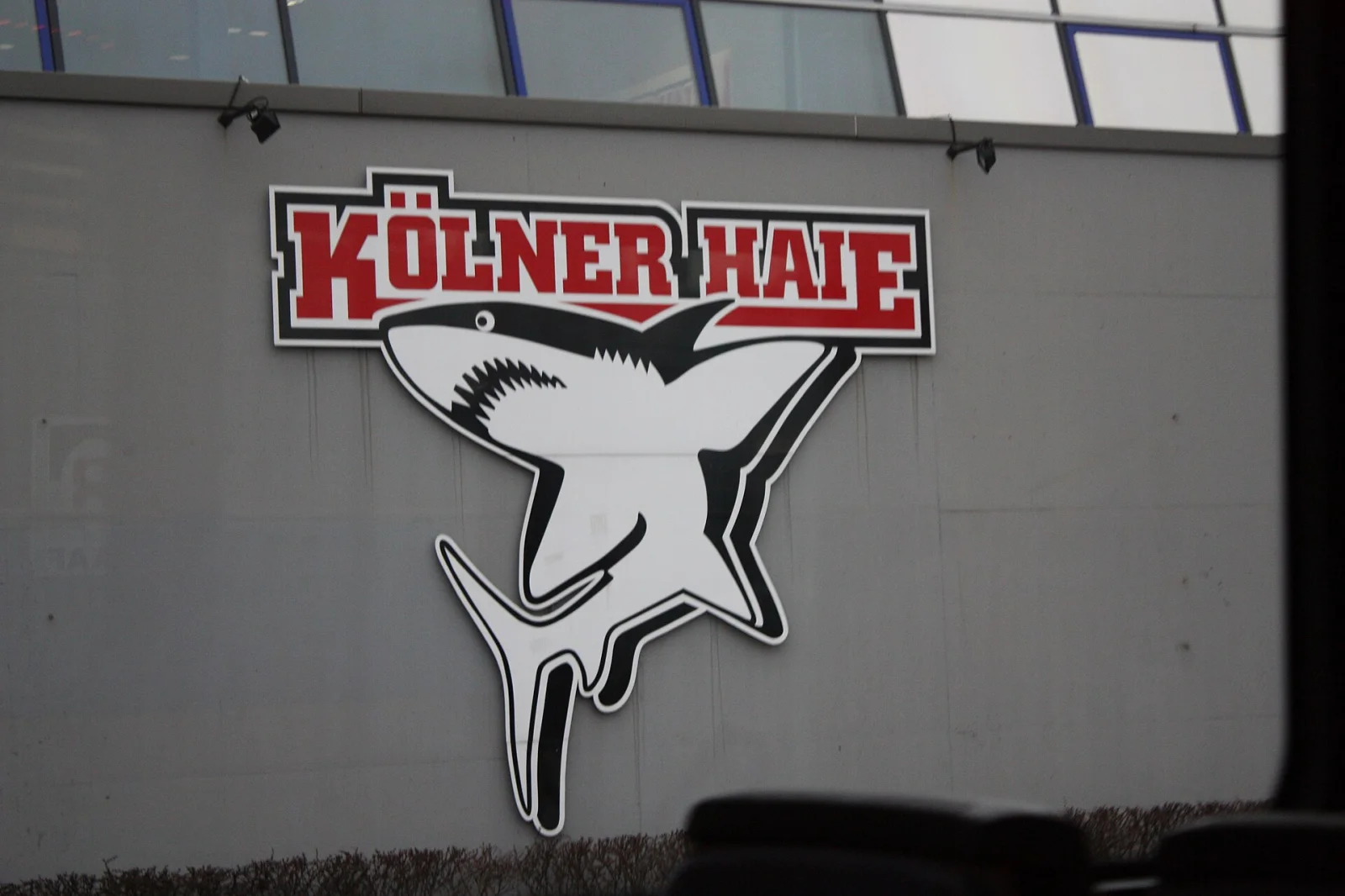New Scam in the World of Hockey: Is Kölner Haie in Crisis?