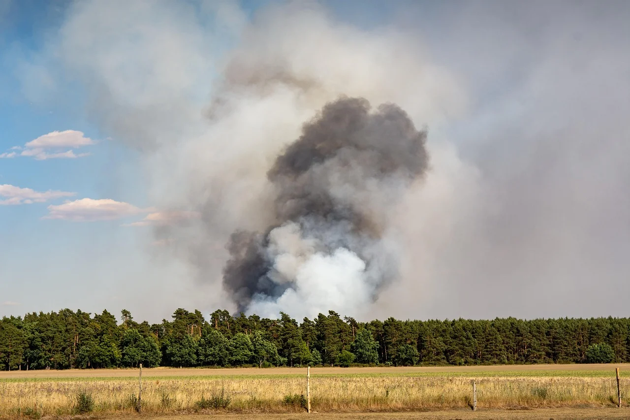 Drought Lurking; The Danger of Forest Fires Remains