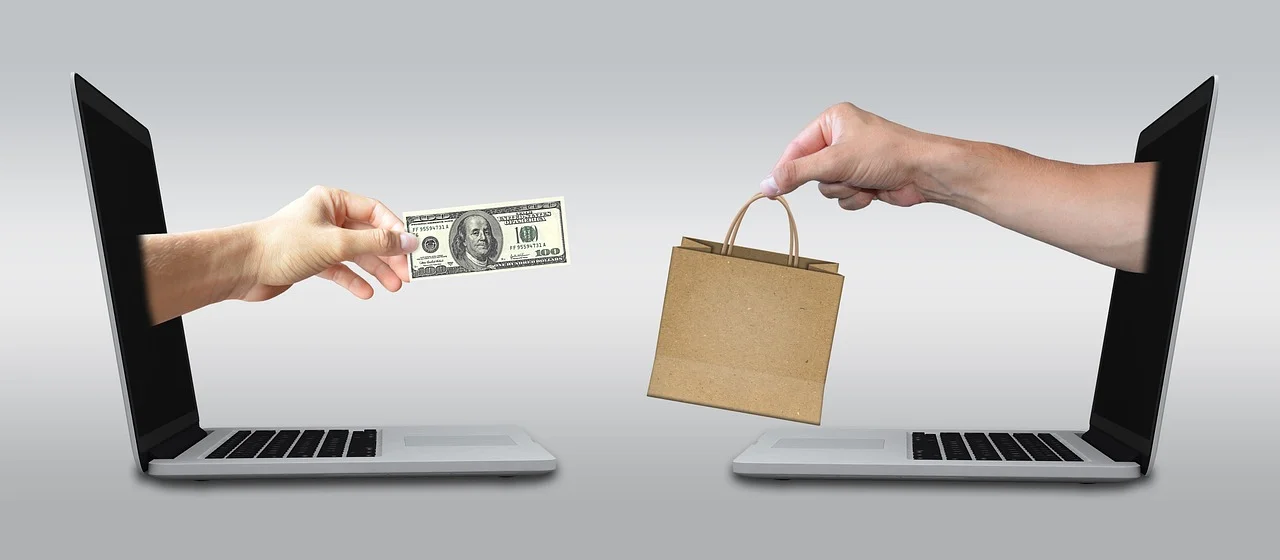 Online World: The Market Conquest by Temu and Shein