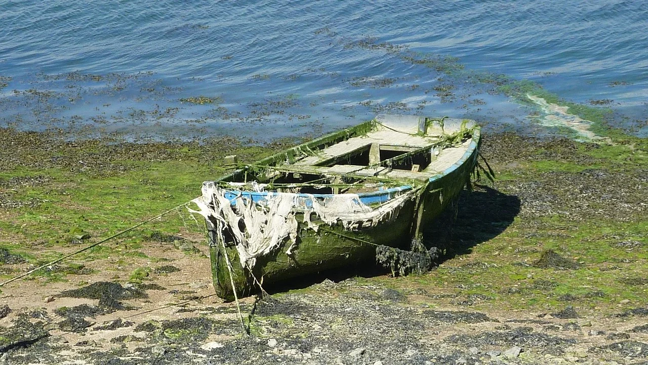 Is the End of Seaweed Harvesters' Jobs in Brittany Near?