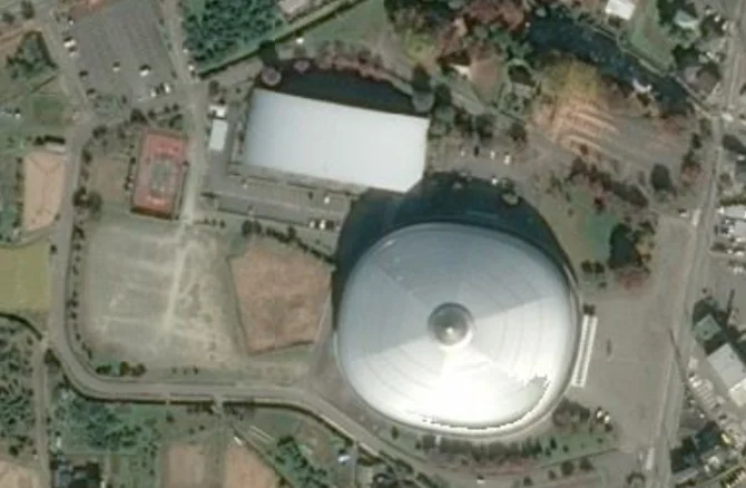 Sudden Death of the President of White Ring: A World Without Him