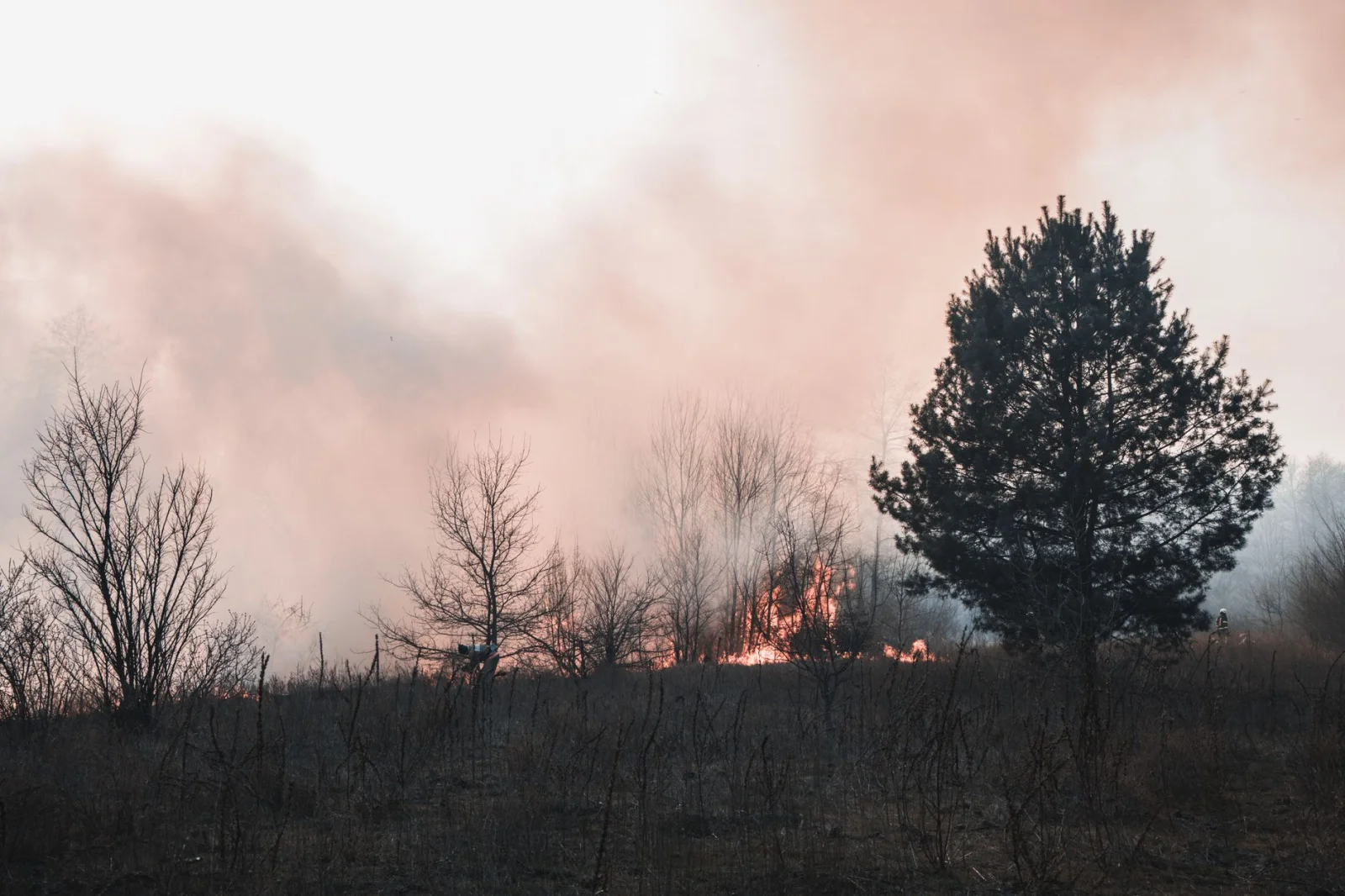 Widespread Fires in Europe; Nature is Burning!