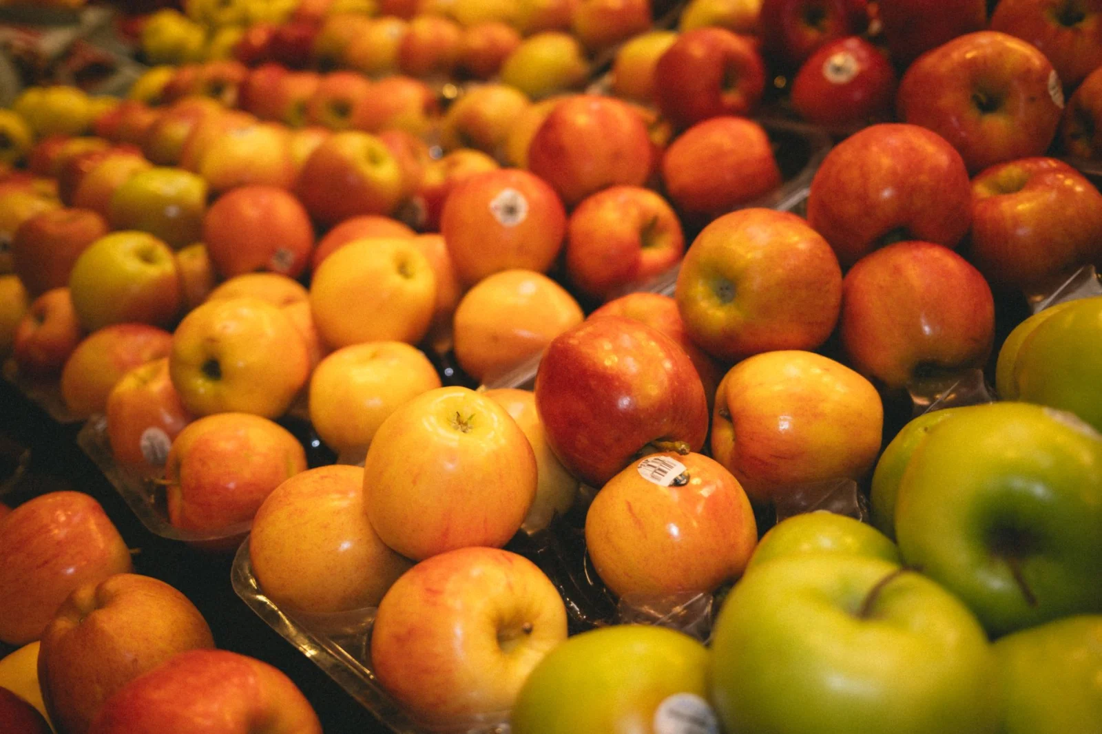 Is the genetic diversity of apples at risk?