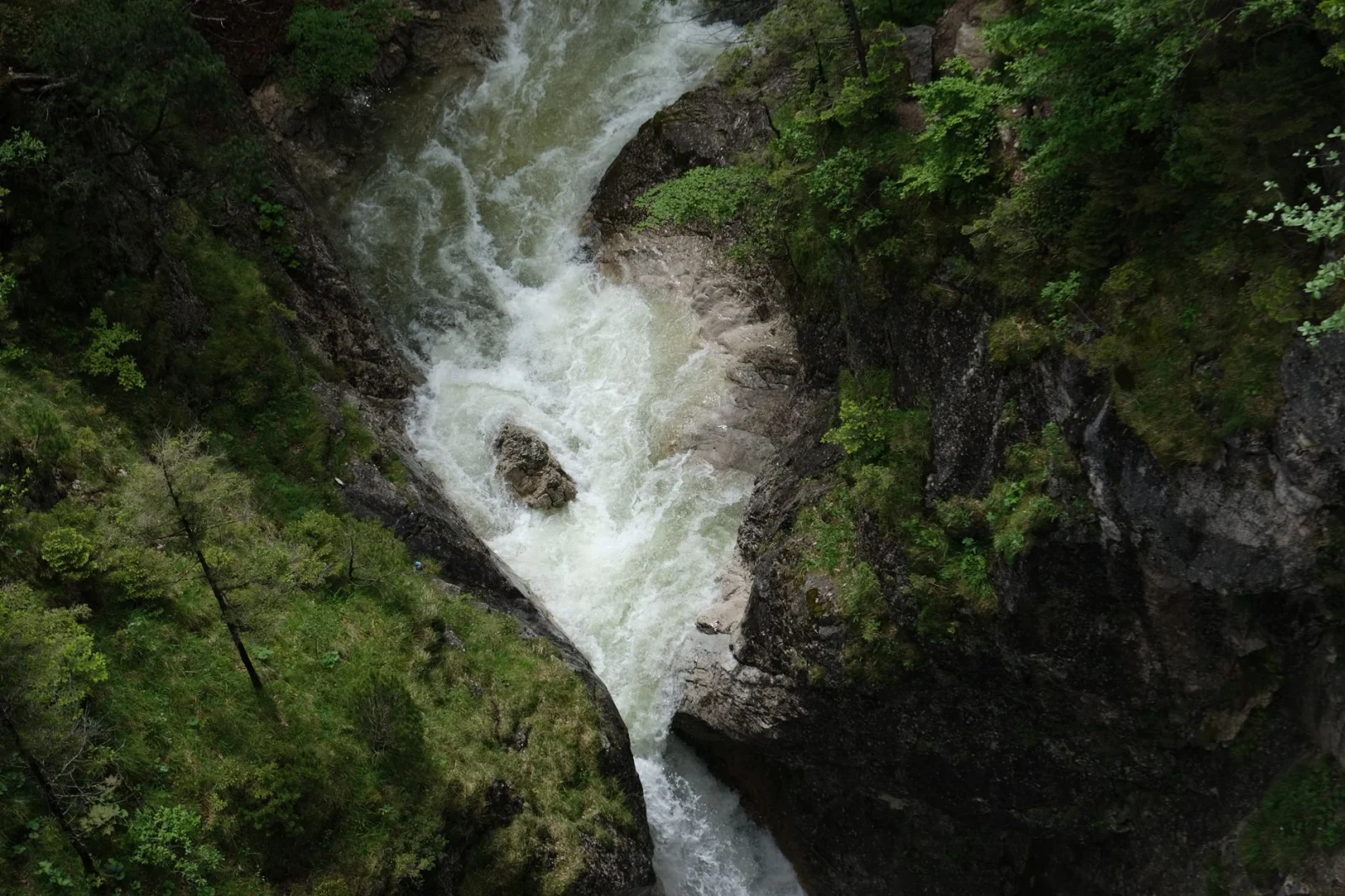 Heat in Germany: Rivers at Risk from Rising Temperatures