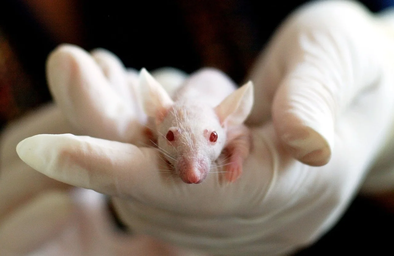 New Investment in Mainz's Biotech: The Dawn of a New Era