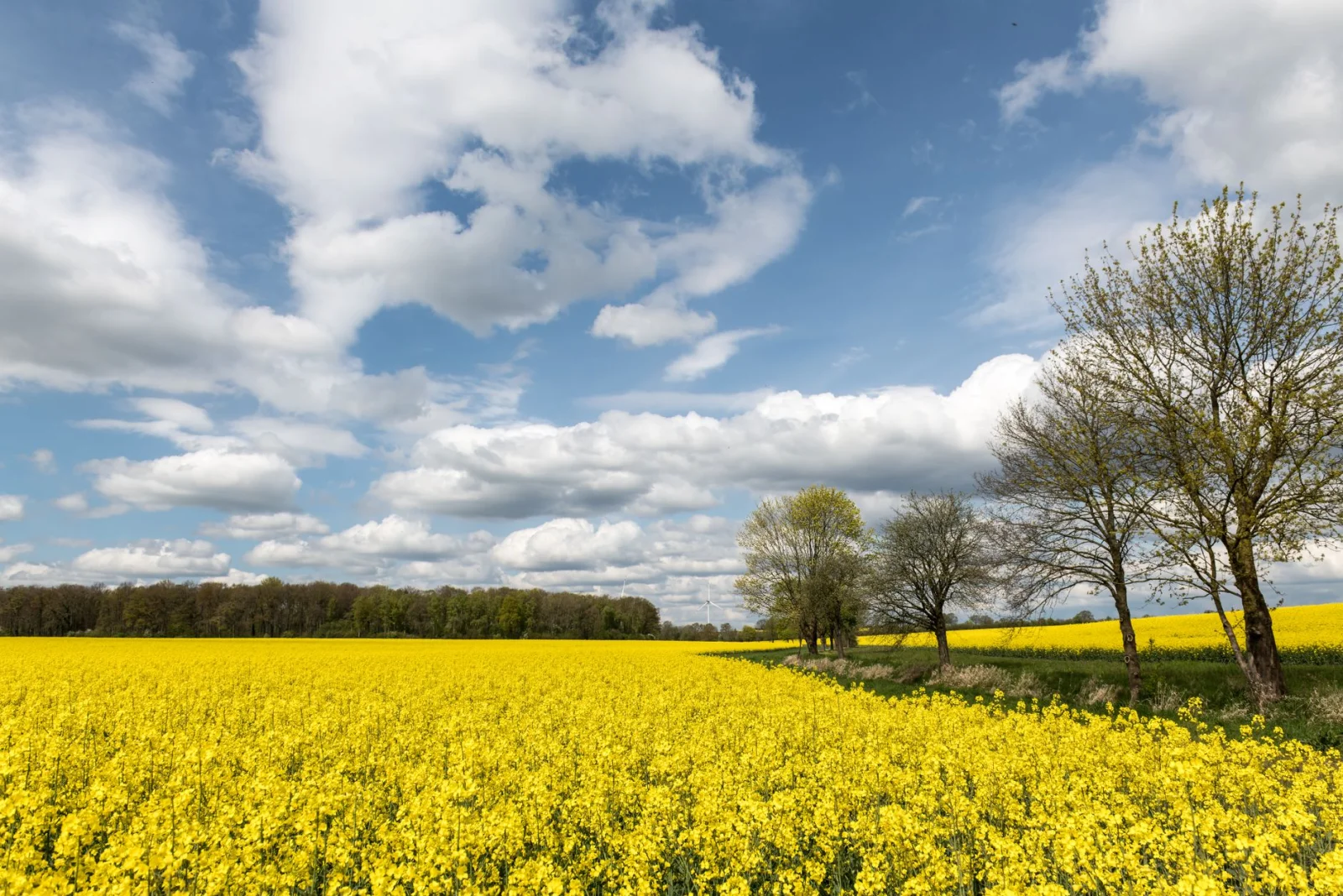 A Challenging Start to the Week; Summer Returns to Germany!