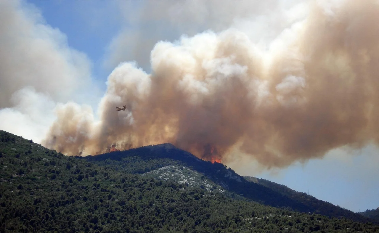 Massive Fires in Southern France: Thousands Have Left Their Homes