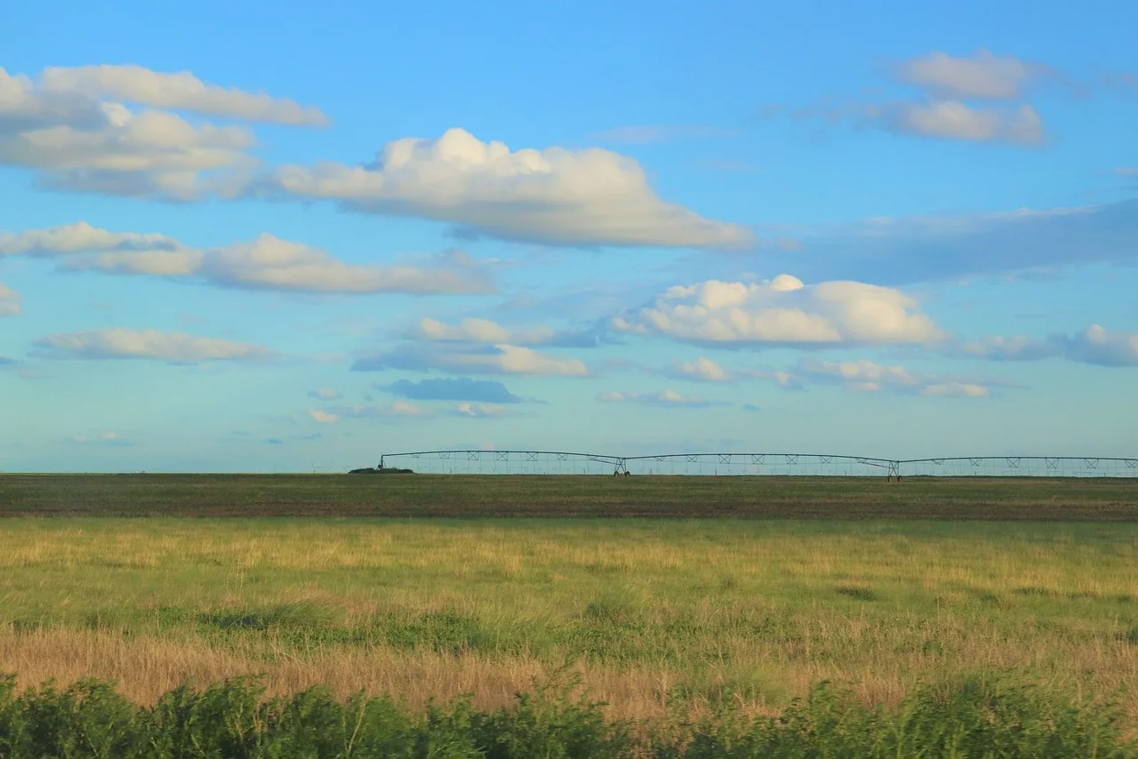 Severe Drought in the South and East; A Water Crisis Awaits Us