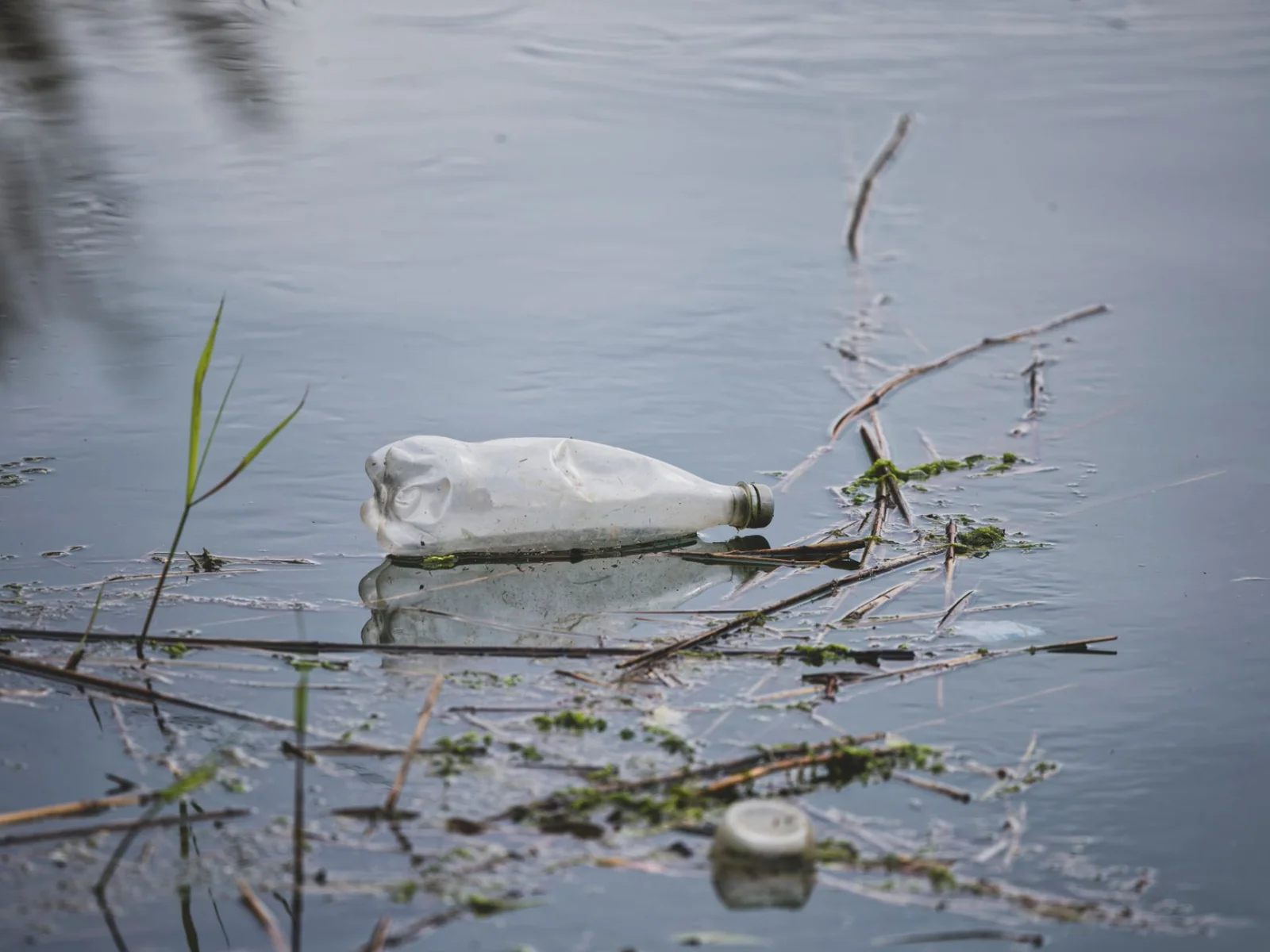 Danger in a Bottle: Major Recall Due to Dangerous Bacteria in Mineral Water!