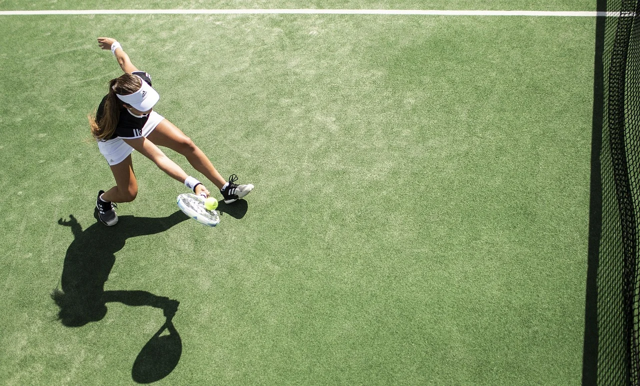 Zore's Challenge with Power: Zore in the Third Round of Wimbledon