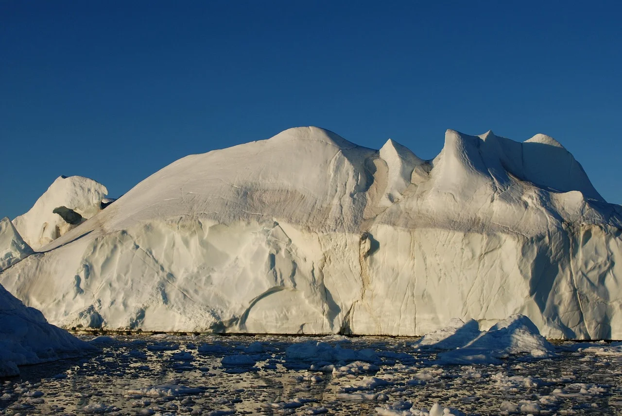 Climate Crisis: A Bitter and Widespread Reality