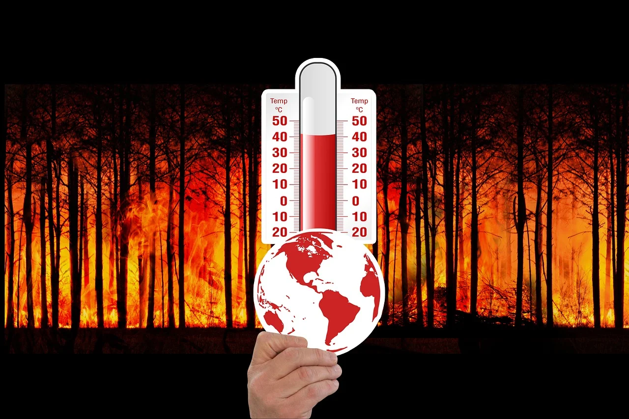 Temperature Changes on the North and East Coasts: New Warnings