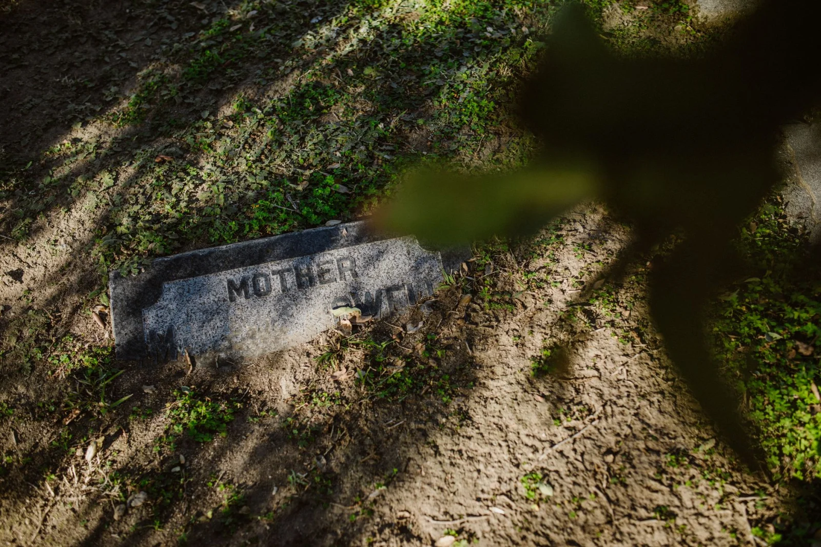 The Final Role of Love; A Memorable Farewell by the Mother's Grave