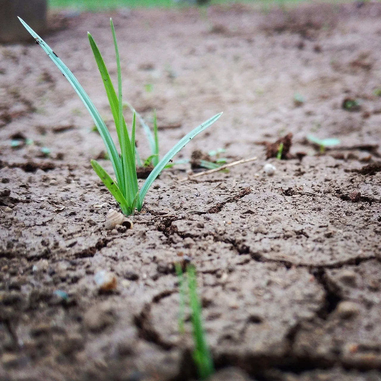 Variable Weather: From Scorching Sun to Sudden Rain!