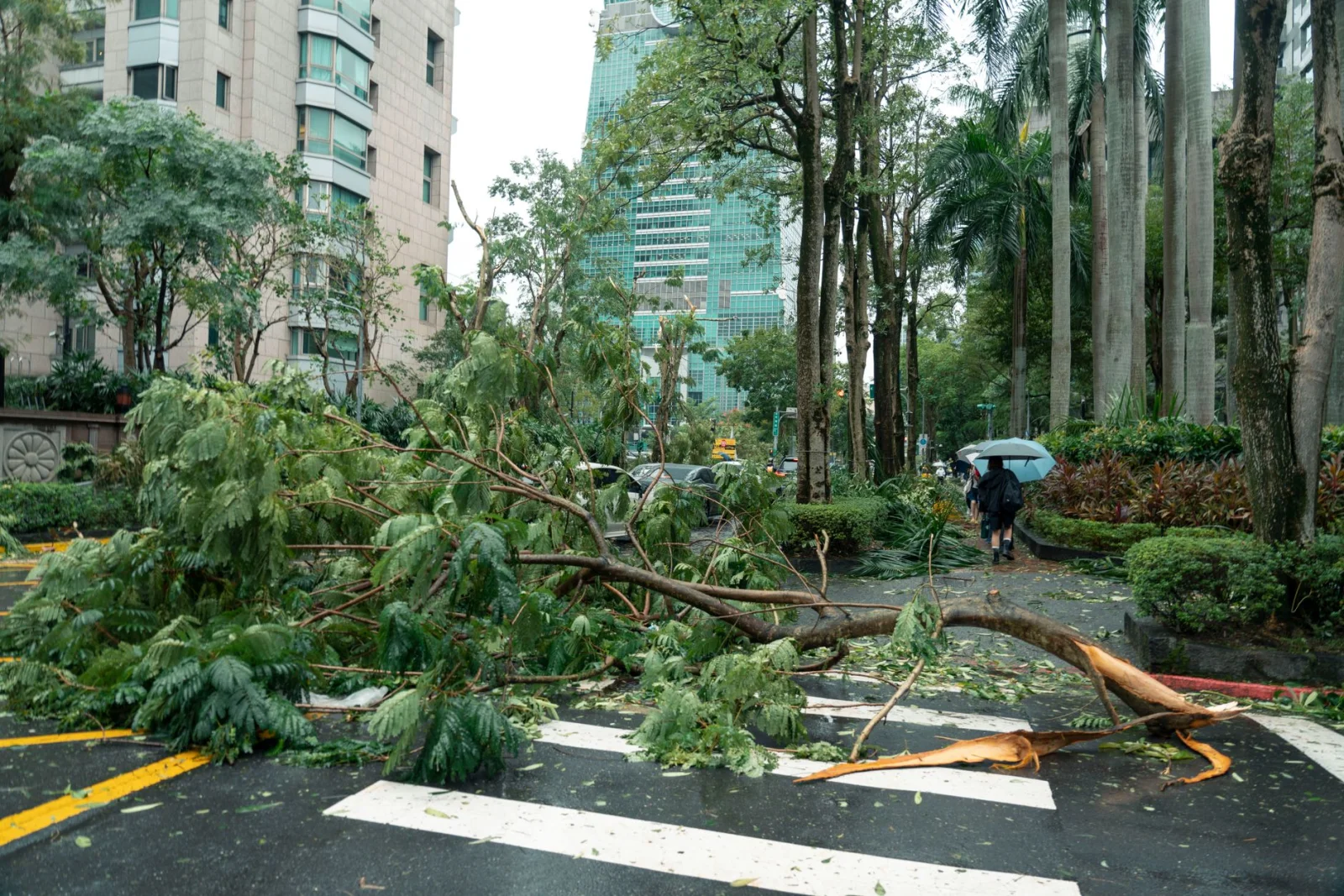 The Storm Giant Crushes Rota Island!
