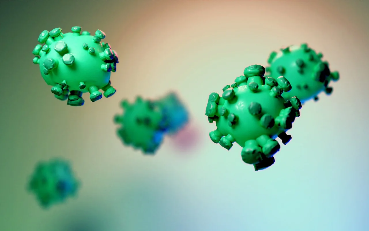 Controversial Report: What Does Salmonella Infection Do to the Body?