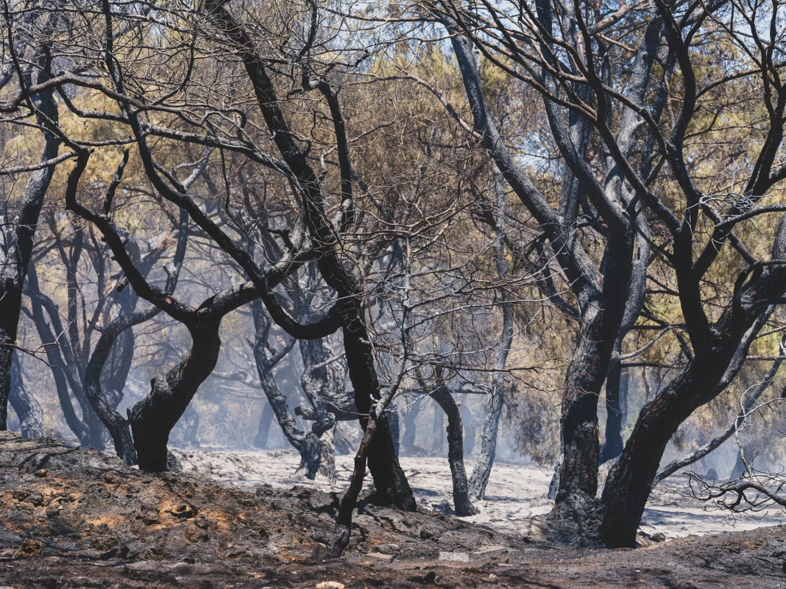 10,000 People Flee Forest Fires in France