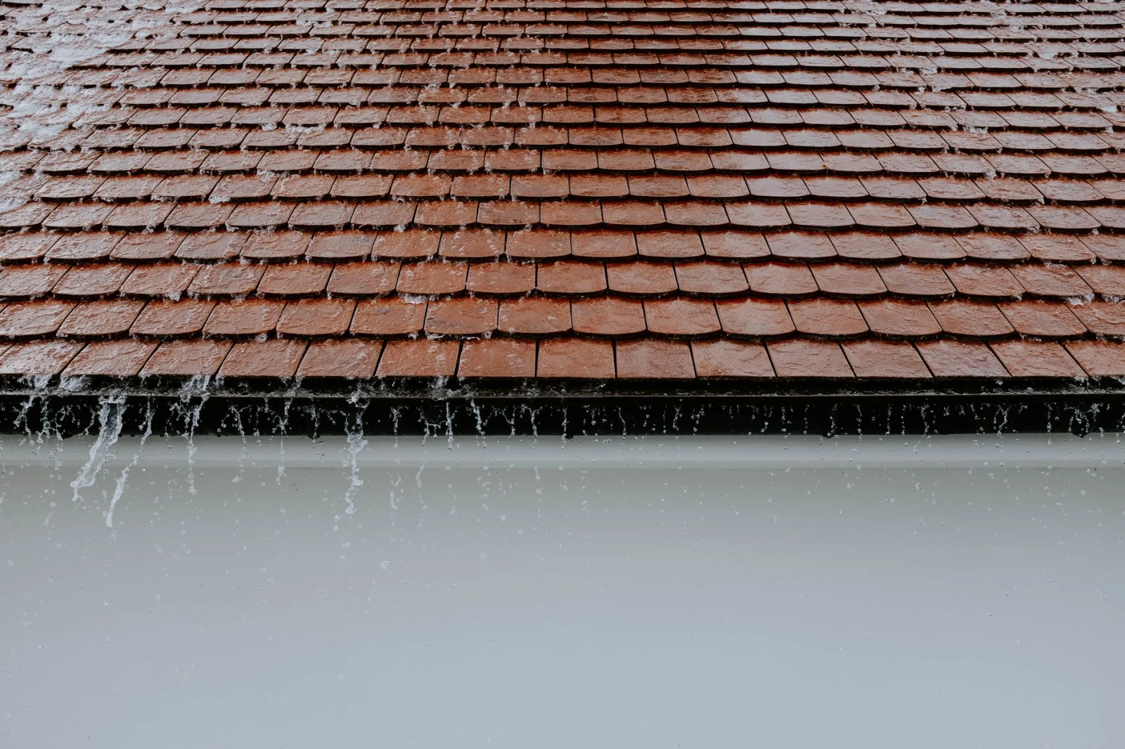 How to Cut Water Costs in Half Using Rainwater?