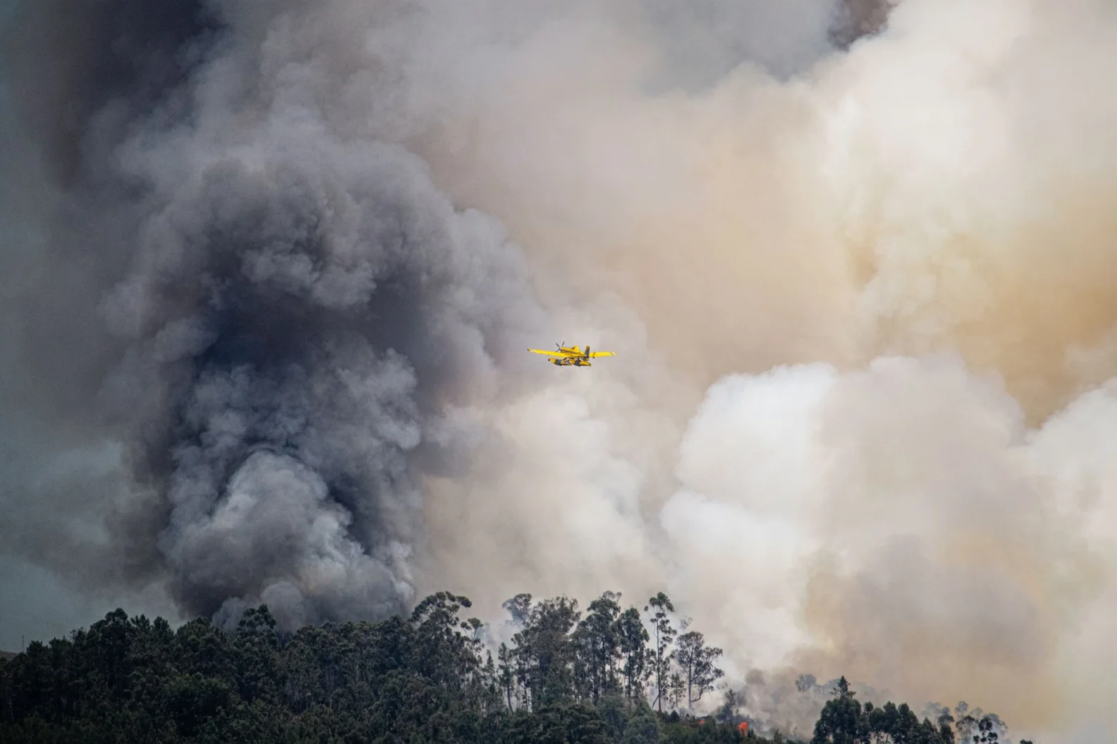 Devastating Fires in a Tourist Paradise: 40 New Cases in 24 Hours!