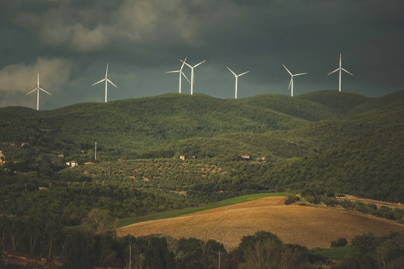 Revising Wind Energy Programs: Are the Changes Really Beneficial for the Environment?