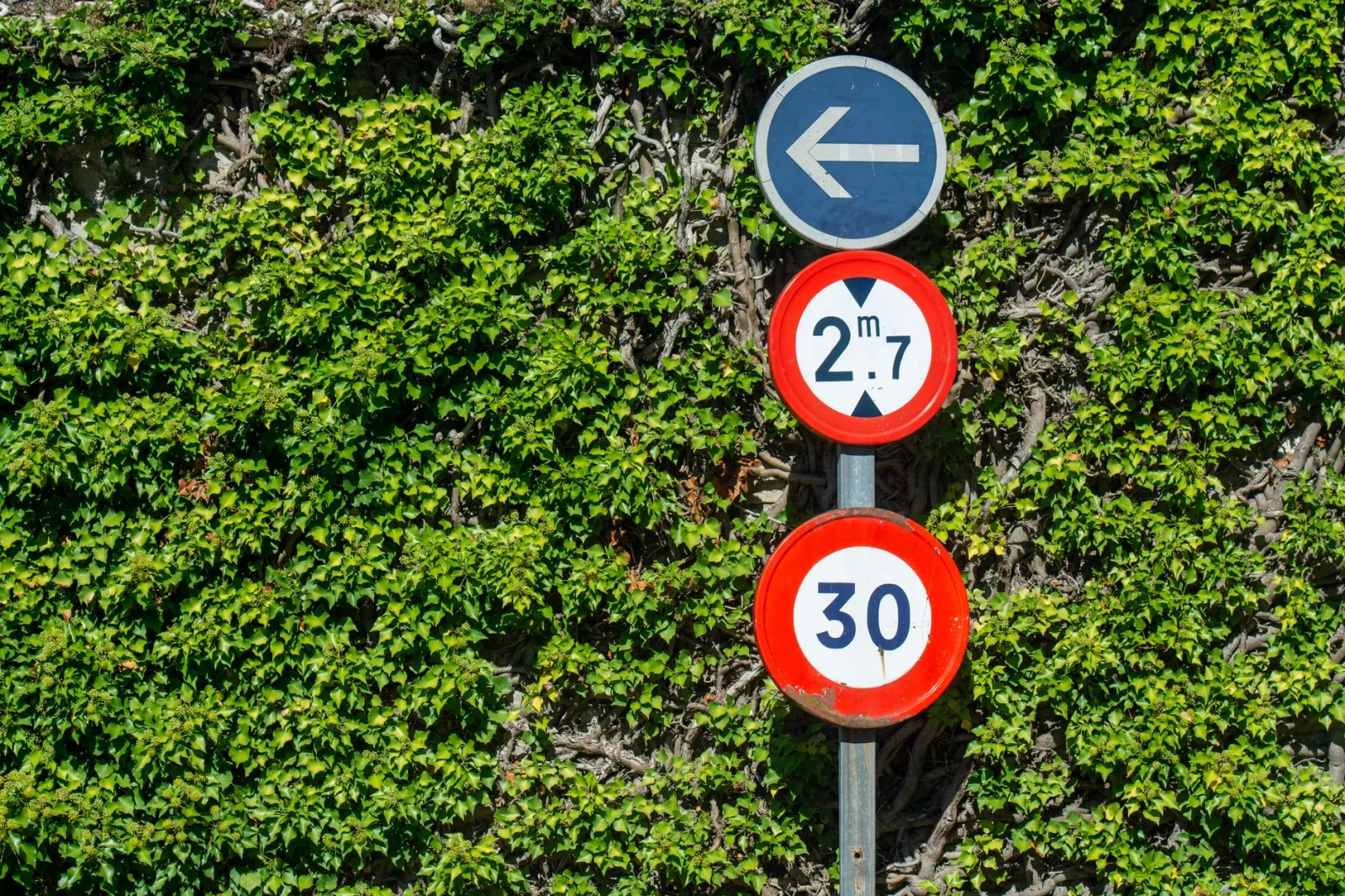 Why has the 'Green Wave' sign disappeared from the streets?