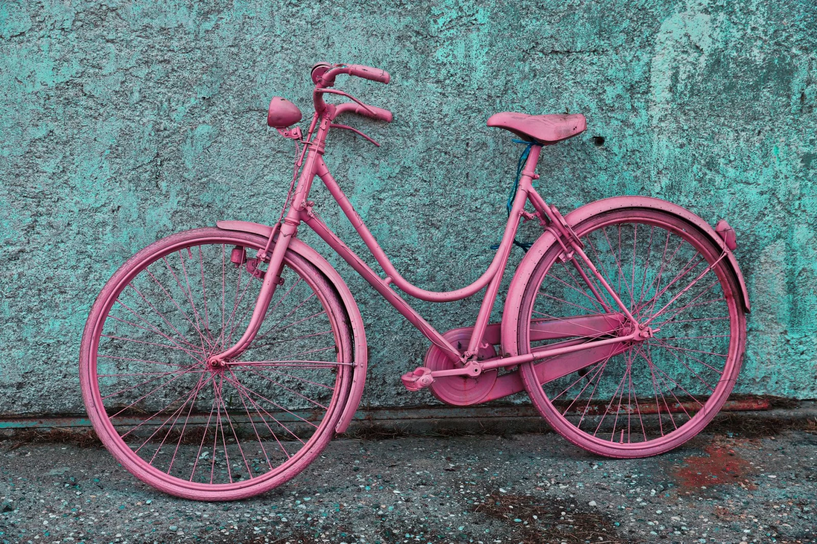 Is Riding a Bicycle on the Wall Art or Madness?