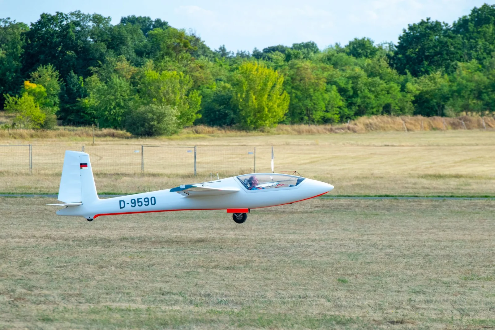 Aerial Crash: Glider Pilot Made Emergency Landing in a Farm and Survived