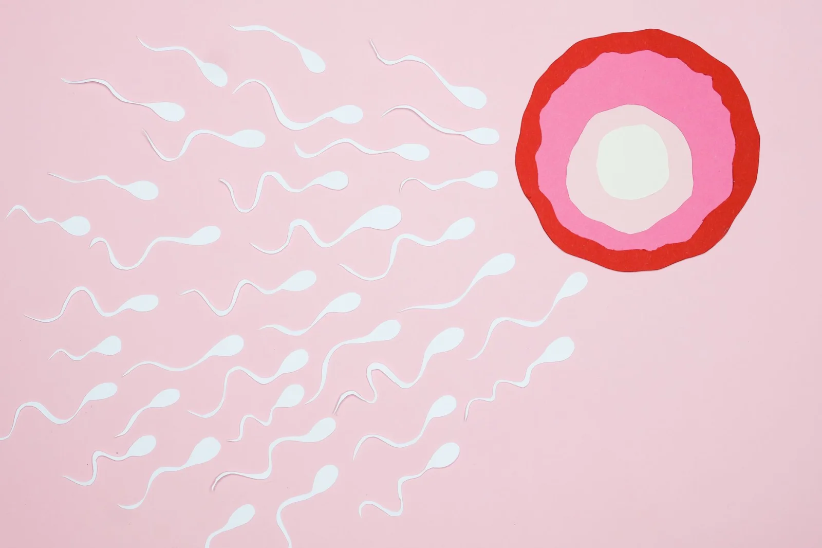 Pollutants and Future Generations: Is Sperm DNA Affected?