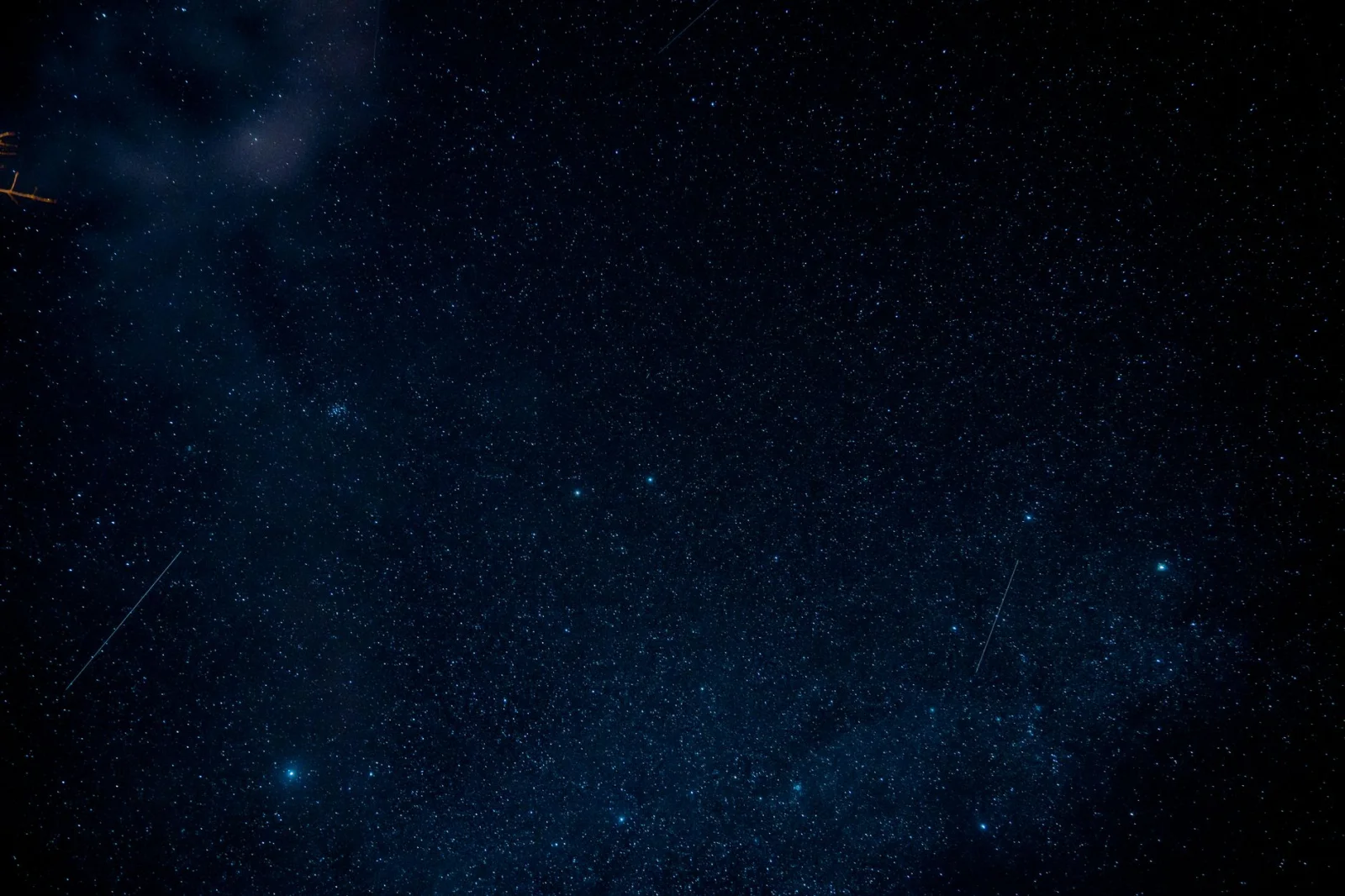 Star Festival: The July Sky Shines with Perseids