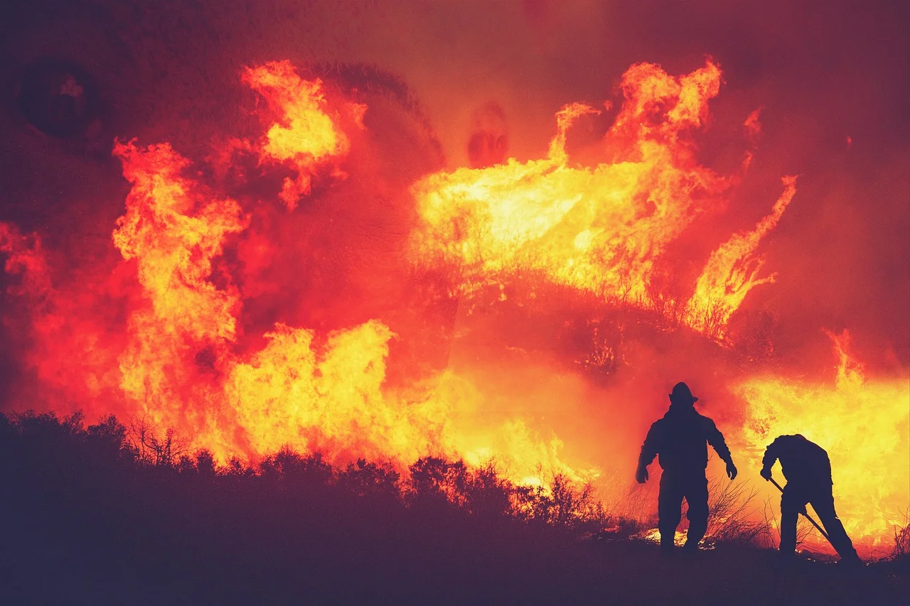 Devastating Fires in Southern France: A War Against the Flames