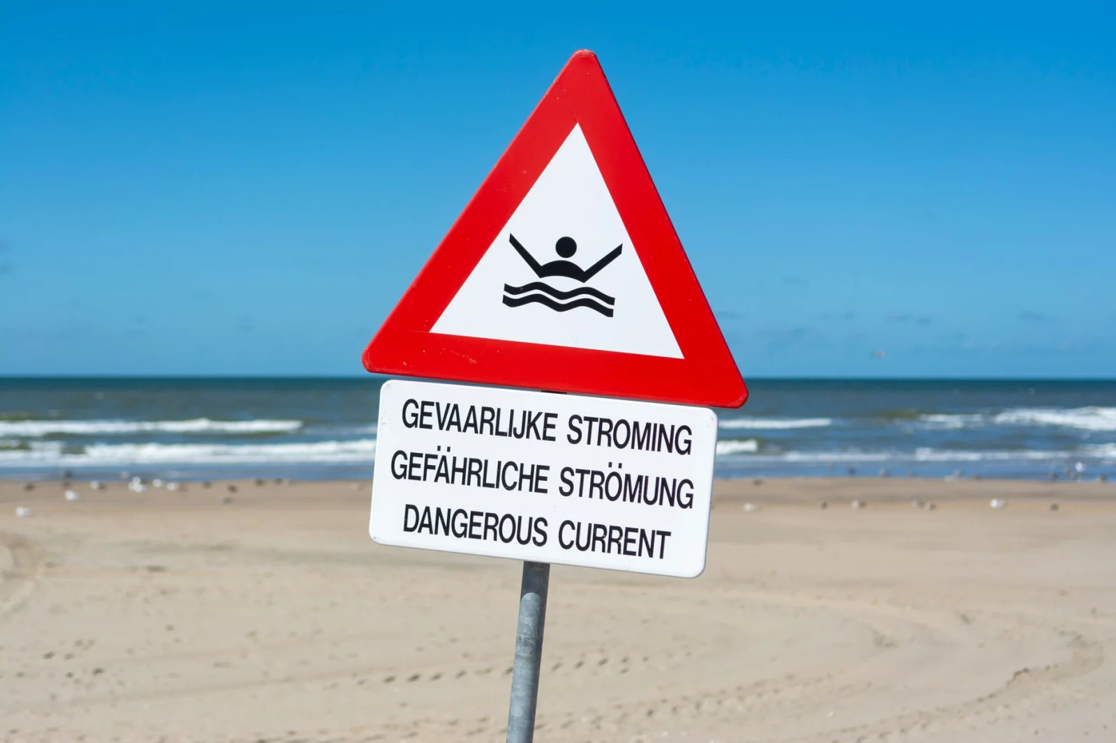 Warning: Traveling to the Baltic Beaches is Dangerous!
