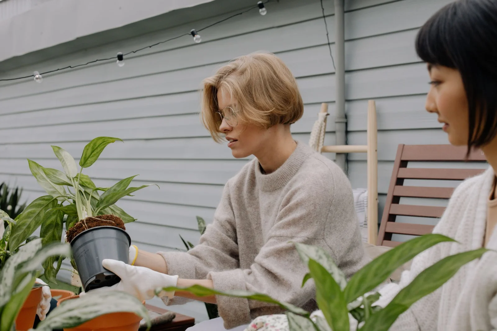 How to Have a Low-Maintenance Garden? 20 Tricks for Lazy Gardening