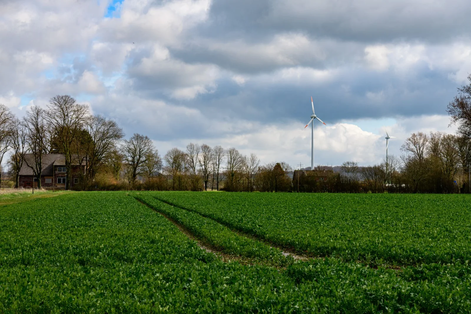 Weather Forecast: Clouds and Fresh Winds in North Rhine-Westphalia