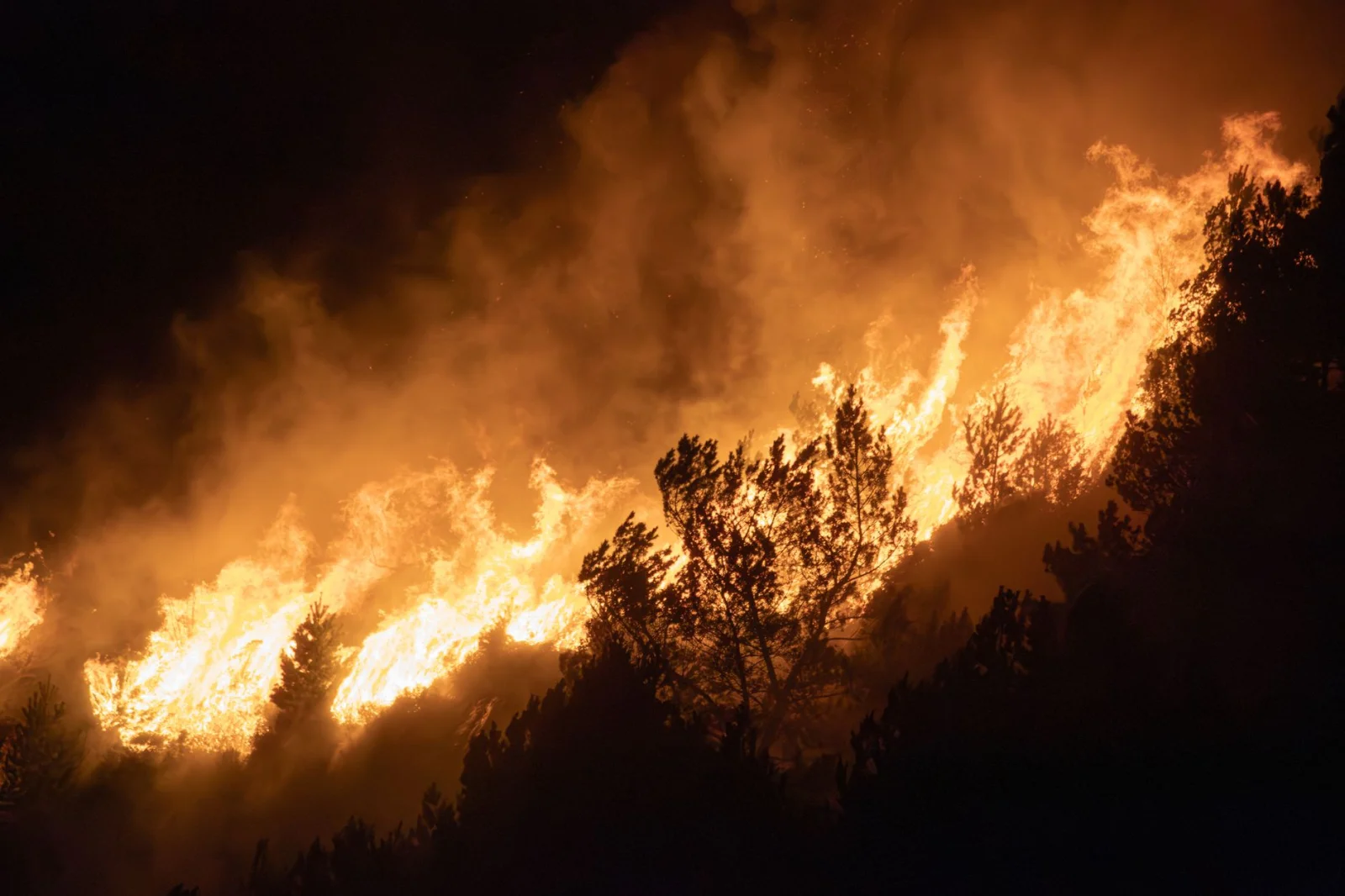 Wildfires in Southern Europe; Thousands Fleeing Their Homes