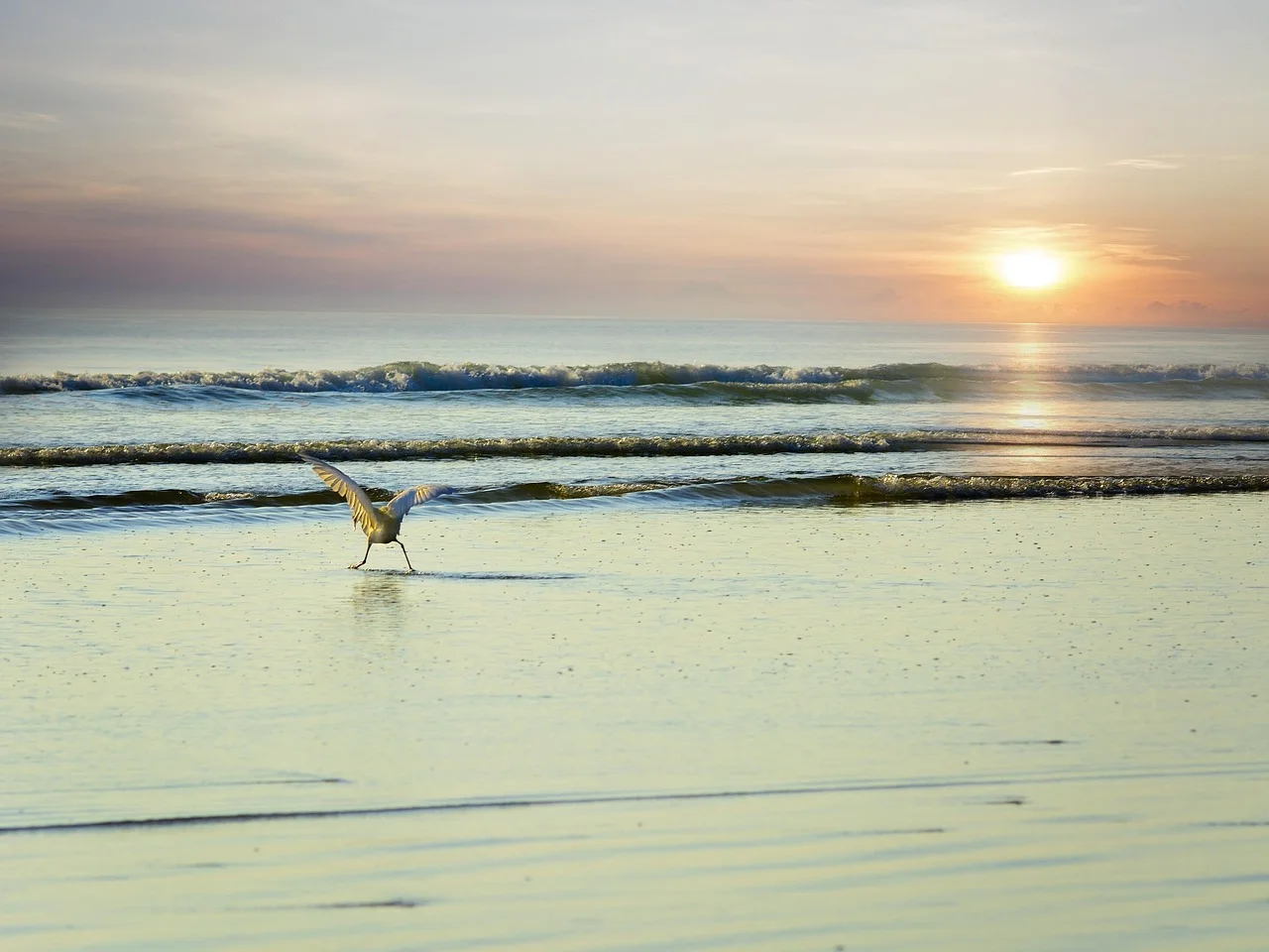Hottest Waters: The World on Fire This Summer