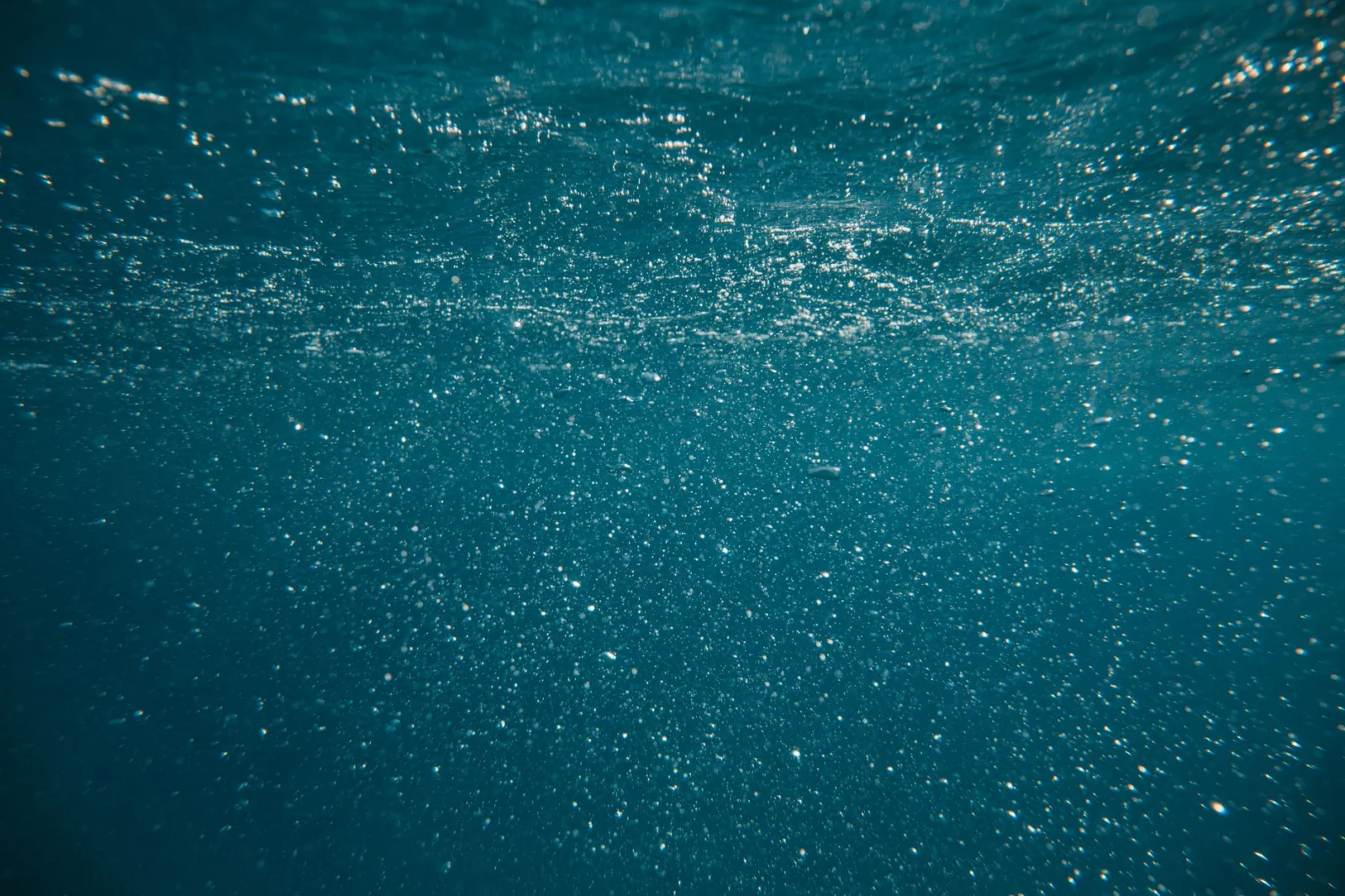 iPhone Underwater: Photos That Will Astonish the World