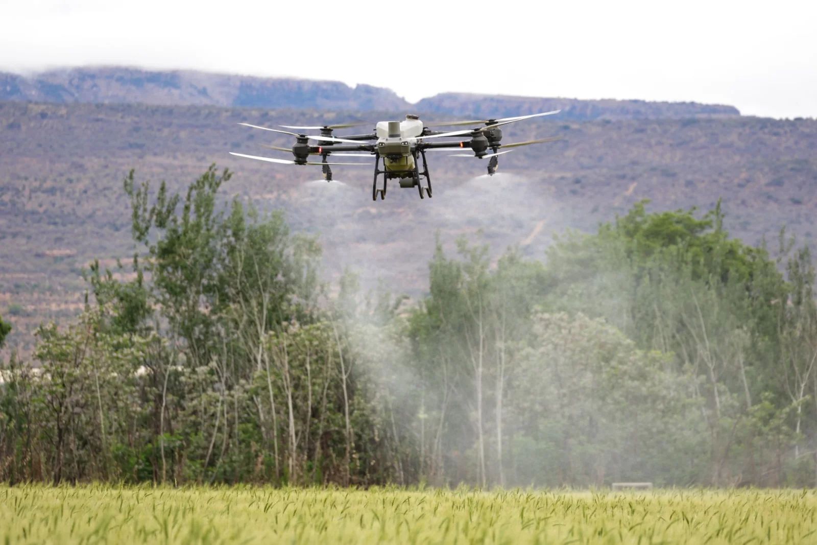 Artificial Intelligence Revolution in Agriculture: Saving Water and Pesticide Resources