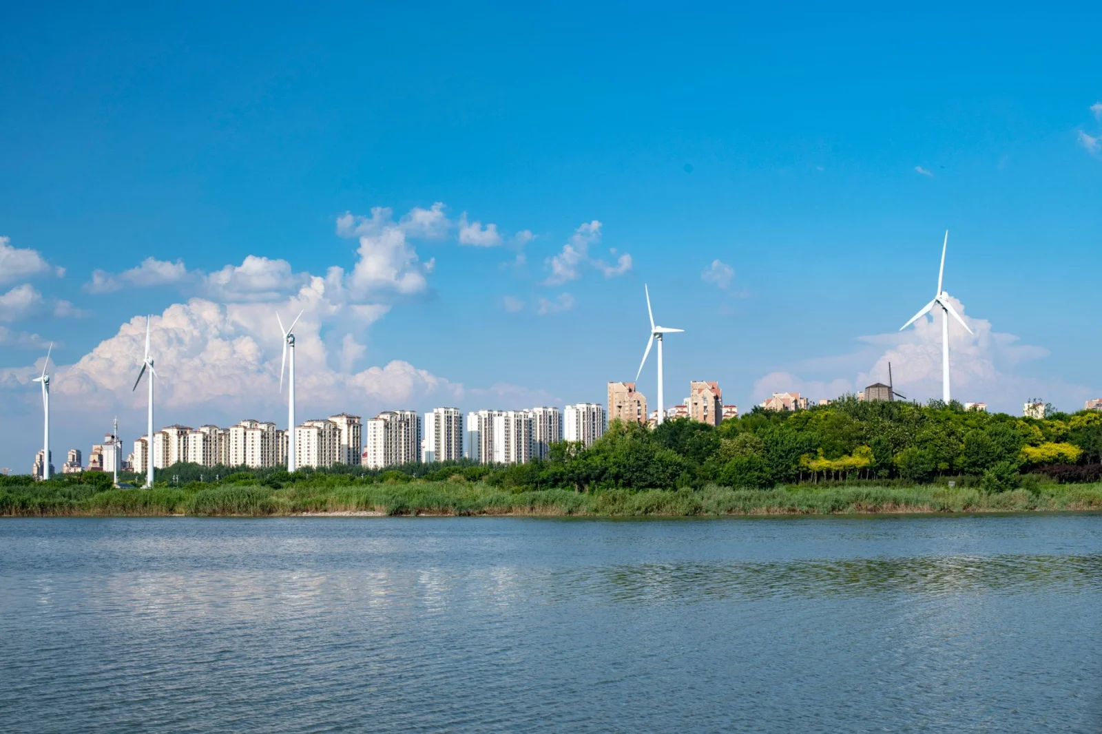 Residents' Complaint: The Noise from Wind Turbines is Keeping Them Awake