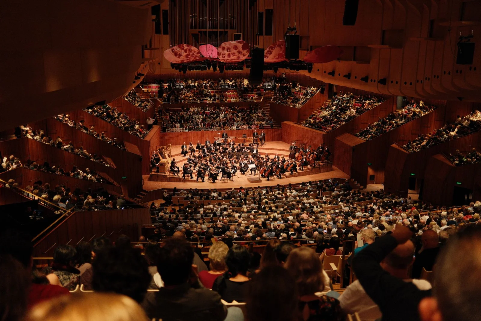 A Grand Symphony in the Wind of Twells: Everyone is Invited!