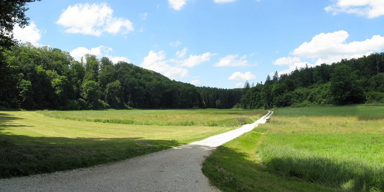 Forests and Farms in the Shadow of Danger: Walking Week in Schmallenberg Has Begun