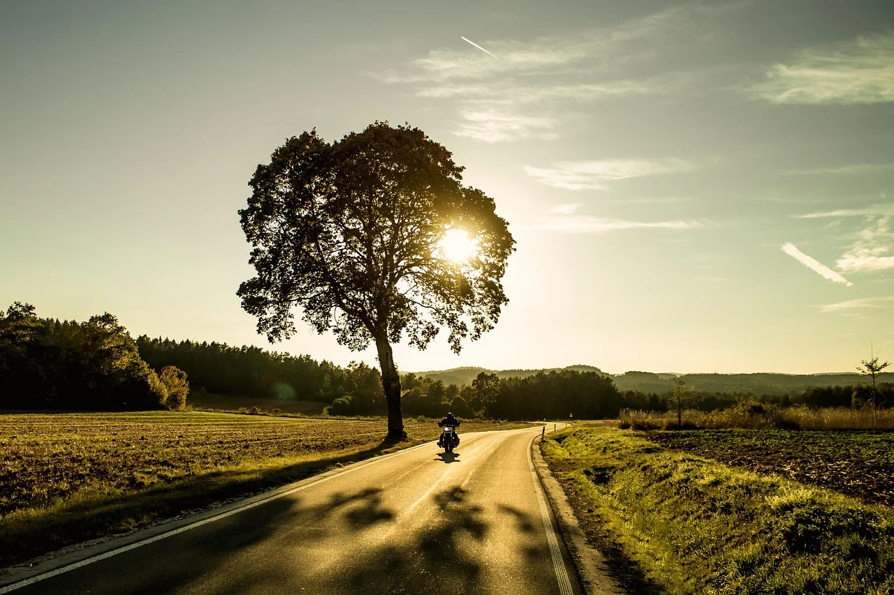 17-Year-Old Pulls Tree into Street with Motorcycle!