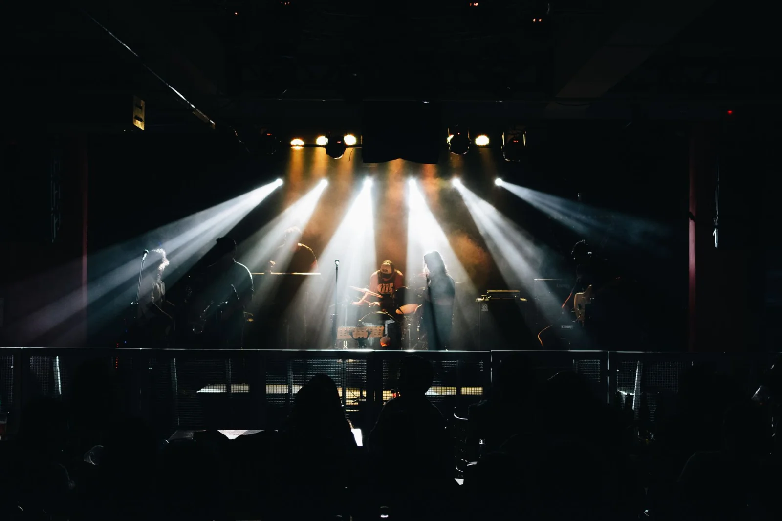A Terrifying Moment at the Concert: Musician Collapsed on Stage