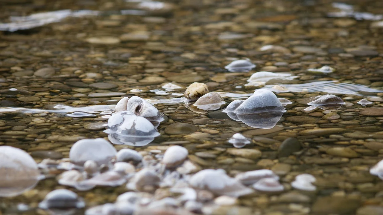 Rainwater to the Izar Skirt: The Controversial New Permit