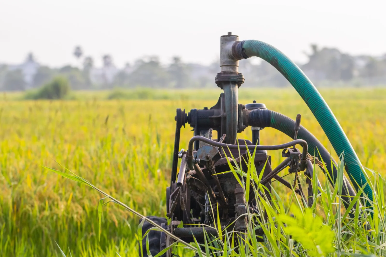Why the Car Water Pump is More Than Just a Simple Device?