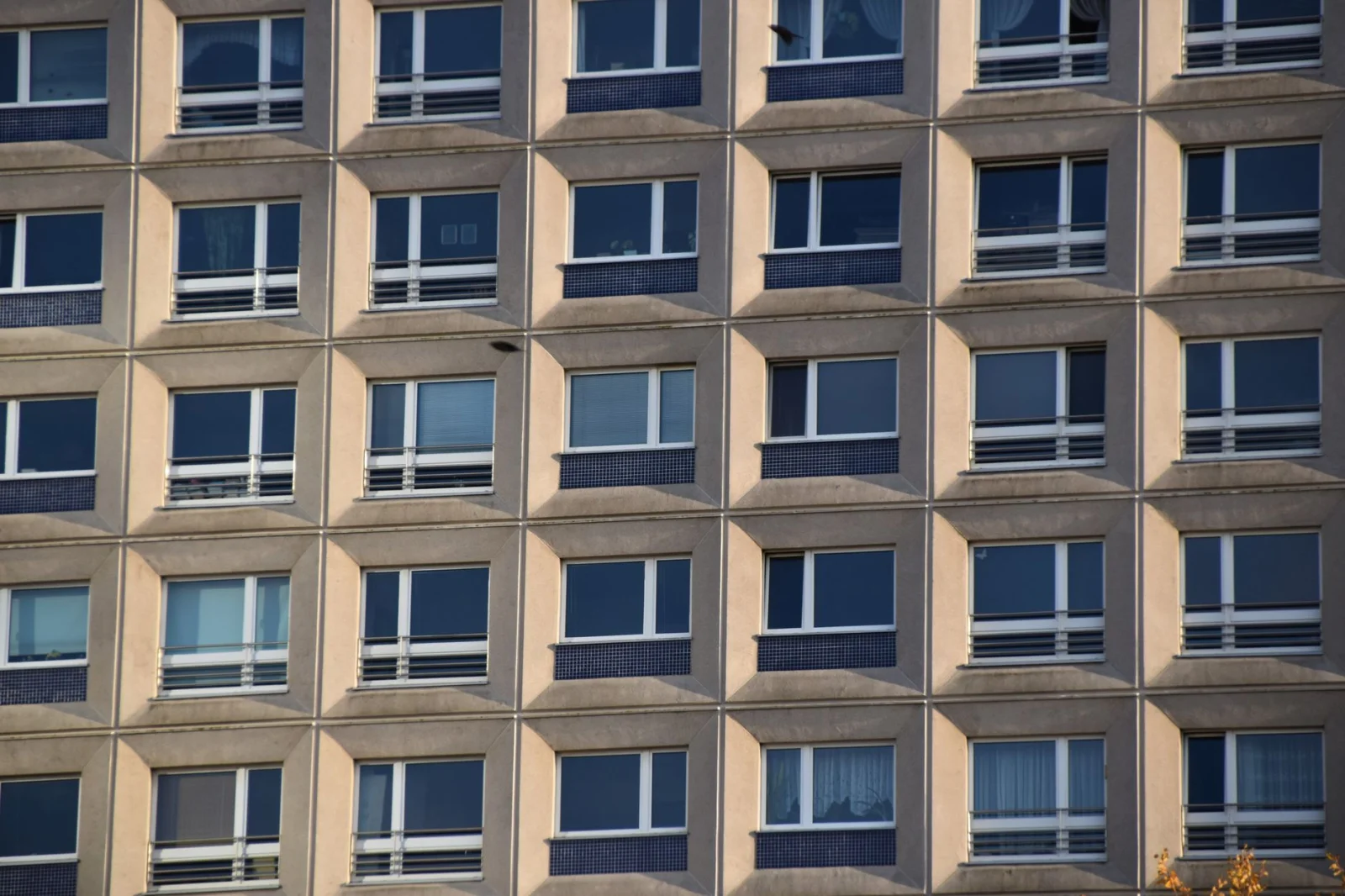 Alarm for Cats: Falling from Windows in Berlin!