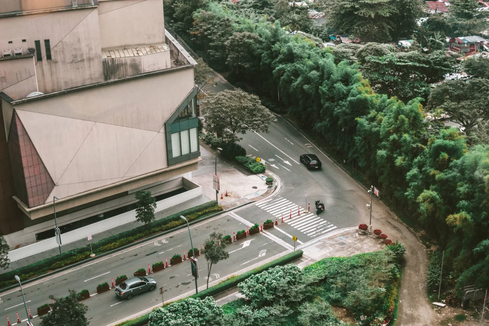 Life in Urban Forests: Challenges and Beauties