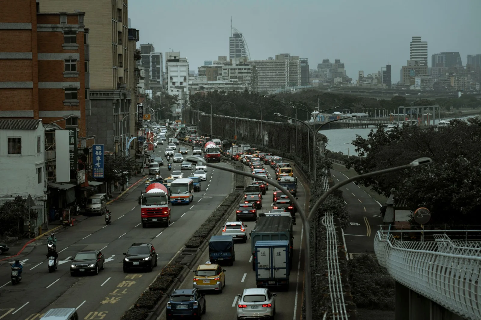 Terrible Traffic: 80 Pigs on the Streets!