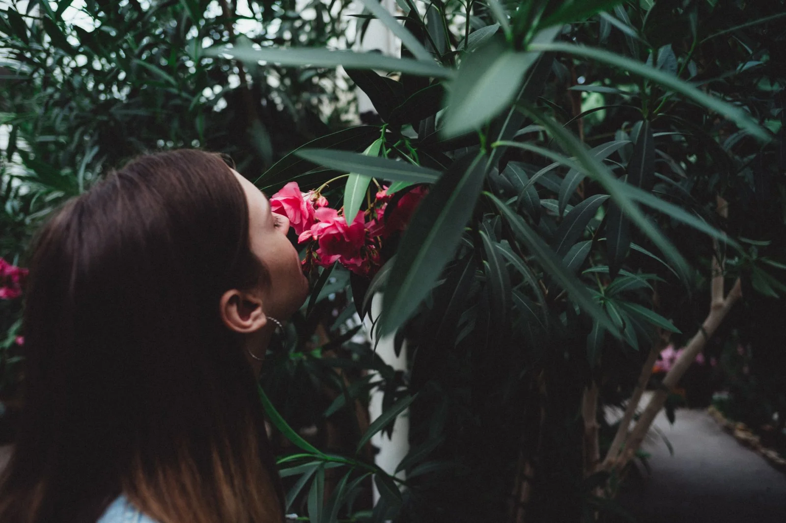 A Garden for the Senses: The World of Scents in the Botanical Garden for the Visually Impaired