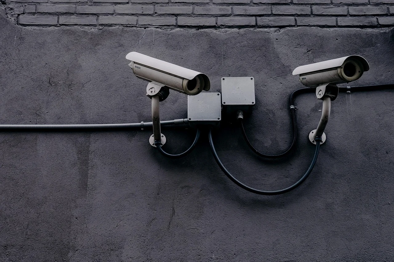 The New Project 'Live Democracy': Security Review for Enthusiasts
